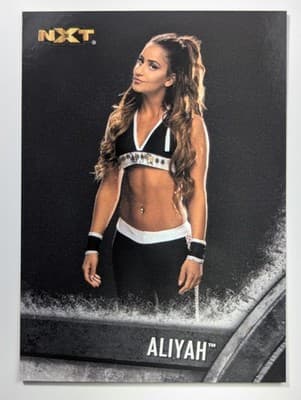 2016 Topps WWE NXT